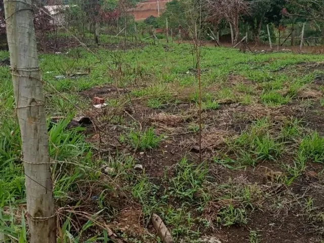 Imagem 5: 2 Terrenos Contínuos em Lagoa do Siri Próximo a Rod. do Sol