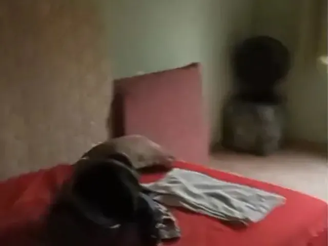 Imagem 11: Chácara em Marataizes