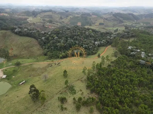 Imagem: A Maior Fazenda Disponível a Venda no Espírito