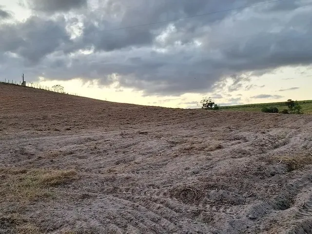 Imagem: Venda-Se Está Propriedade de 20.000 M²