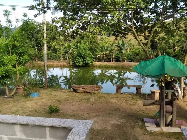 Imagem: Venda-Se Este Sítio de 3.200 Mil M² no