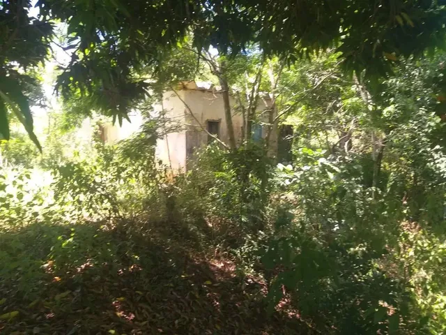 Imagem: Venda-Se Está Propriedade de Quase 1 Alqueires
