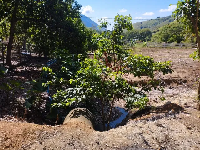Imagem: Venda-Se Está Chácara de 10.000M2 em santa