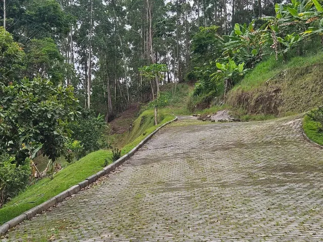 Imagem 3: Sítio Alto Padrão - Vargem Alta Es