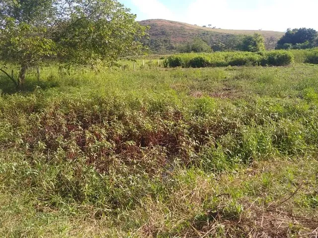 Imagem: Venda-Se Este Terreno de 21.000 M2 para