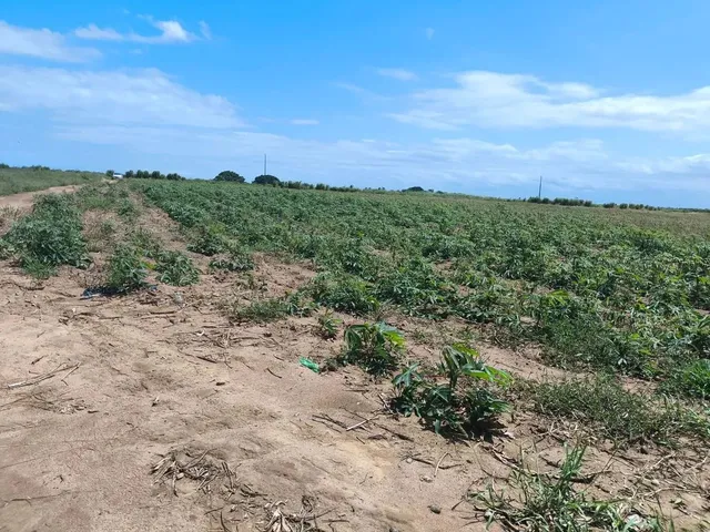 Imagem 3: Venda-Se Este Terreno Escriturado de 24.200 Mil M2 no Município de Marataízes/Es
