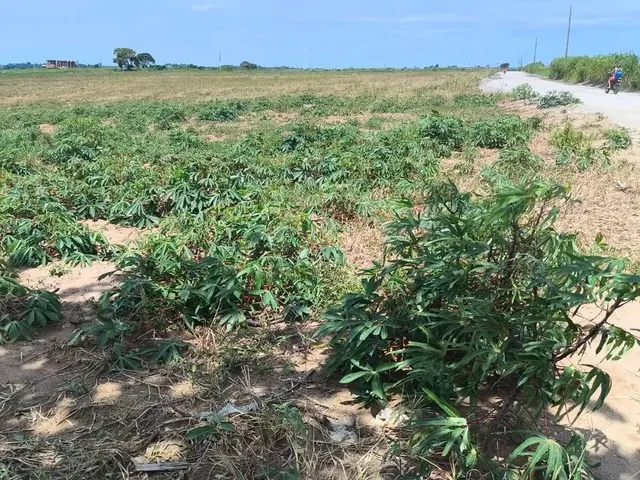 Imagem 10: Venda-Se Este Terreno Escriturado de 24.200 Mil M2 no Município de Marataízes/Es