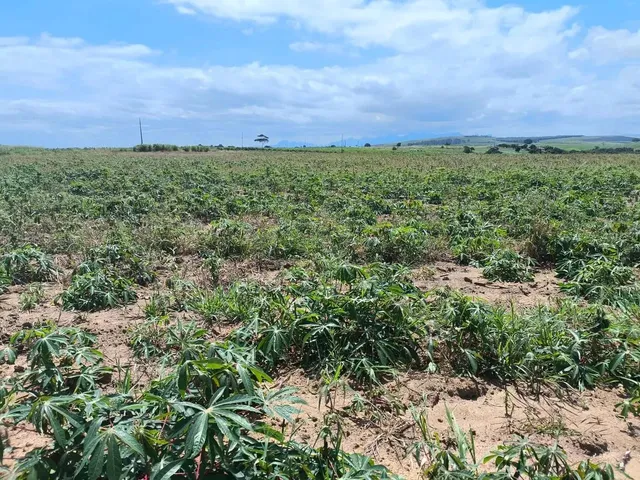 Imagem 13: Venda-Se Este Terreno Escriturado de 24.200 Mil M2 no Município de Marataízes/Es
