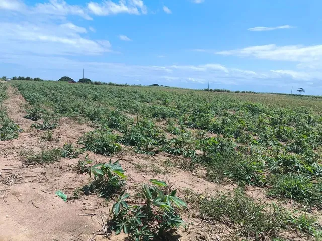 Imagem 7: Venda-Se Este Terreno Escriturado de 24.200 Mil M2 no Município de Marataízes/Es