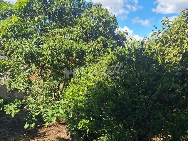 Imagem 15: Casa À Venda, Olarias, Ponta Grossa - Pr
