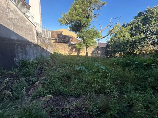 Imagem 12: Casa com 3 Dormitórios À Venda, Estrela, Ponta Grossa - Pr