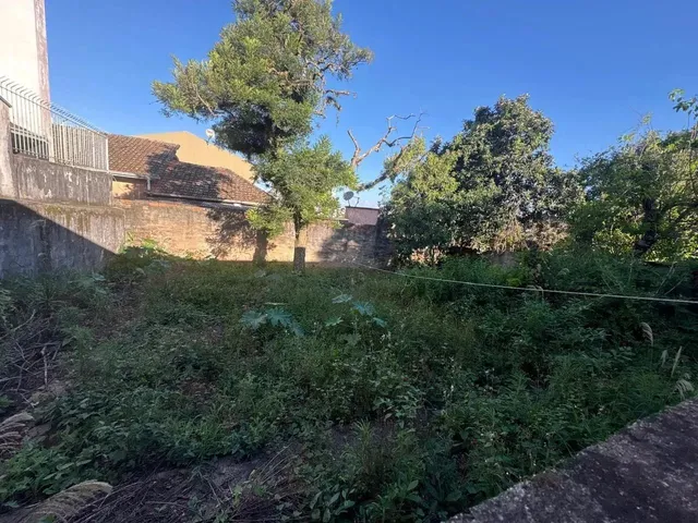 Imagem 7: Casa com 3 Dormitórios À Venda, Estrela, Ponta Grossa - Pr