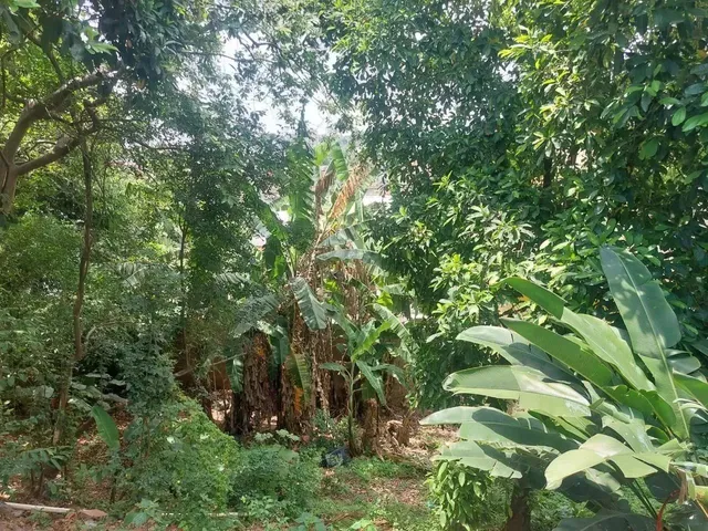 Imagem 10: Imóvel para Venda com 74 Metros Quadrados com 3 Quartos em Nova Cidade - São Gonçalo