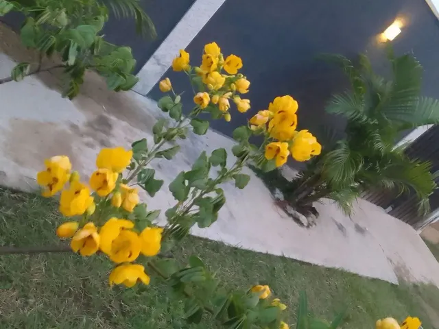 Imagem 4: Casa com Piscina e Garagem Coberta