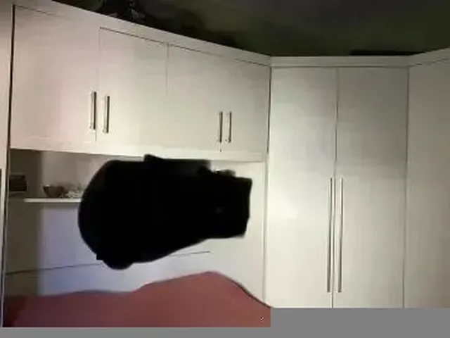 Imagem 12: Imóvel para Venda com 400 Metros Quadrados com 3 Quartos em Palhada - Nova Iguaçu - Rj