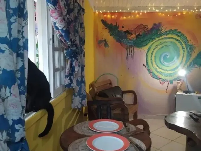 Imagem 4: Quarto Compartilhado Vaga Mensal