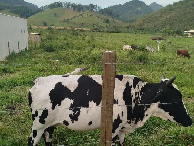 Imagem: Terreno 4Mil M² em São João de Jaboti