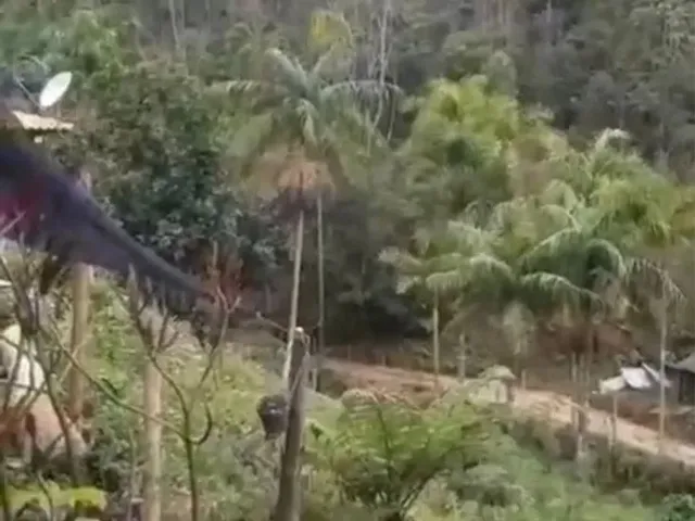 Imagem: Vendo Sítio em Alfredo Chaves