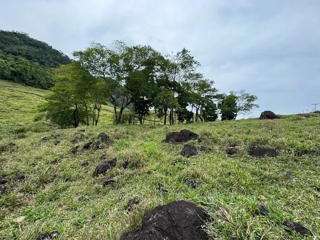 Imagem: Vende-Se Terreno na Beira no Asfalto em