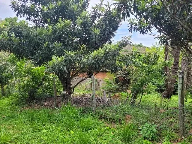 Imagem 15: Terreno com Casa em Construção 300M² - Aceito Troca por Carro de Mesmo Valor!