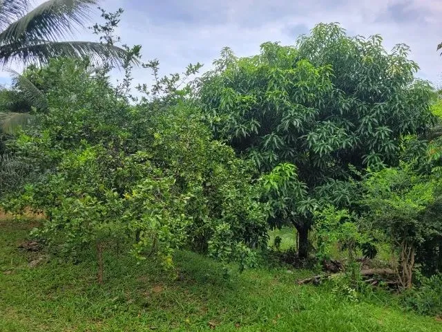 Imagem 14: Terreno com Casa em Construção 300M² - Aceito Troca por Carro de Mesmo Valor!