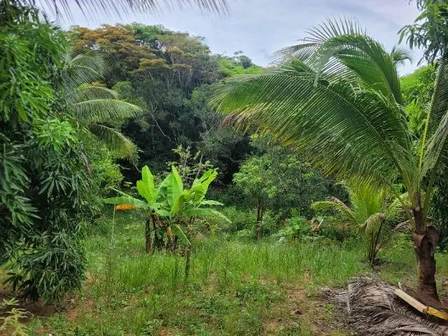 Imagem 9: Terreno com Casa em Construção 300M² - Aceito Troca por Carro de Mesmo Valor!