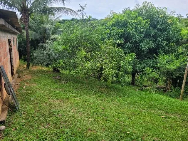 Imagem 8: Terreno com Casa em Construção 300M² - Aceito Troca por Carro de Mesmo Valor!
