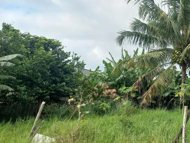 Imagem: Vendo Um Terreno