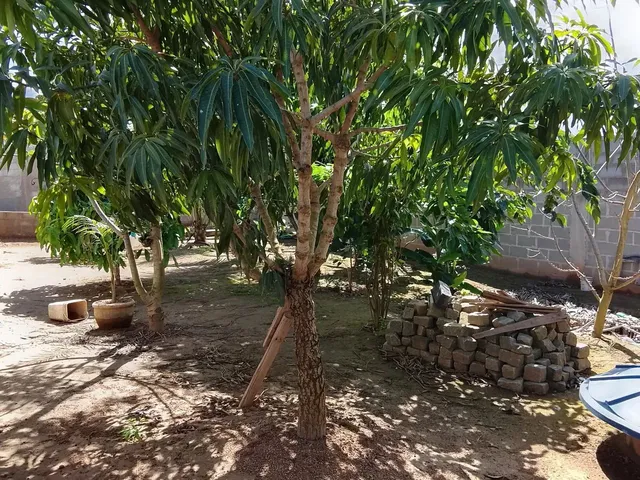 Imagem 1: Imóvel Chácara com venda por R$400