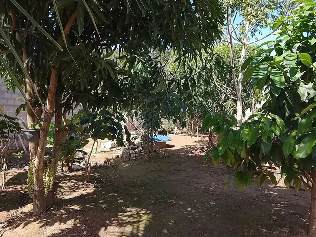 Imagem 6: Imóvel Chácara com venda por R$400