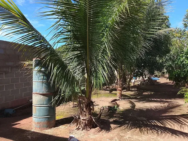 Imagem 7: Imóvel Chácara com venda por R$400