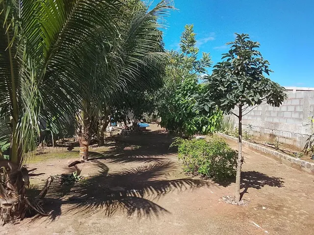 Imagem 10: Imóvel Chácara com venda por R$400
