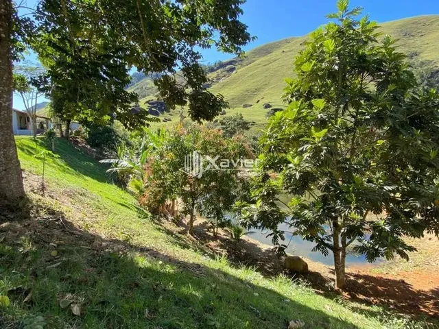 Imagem 13: Chácara com 8.462 M² em Alfredo Chaves/Es - Casa Ampla, Rio, Nascentes, Pomar e Lagoa