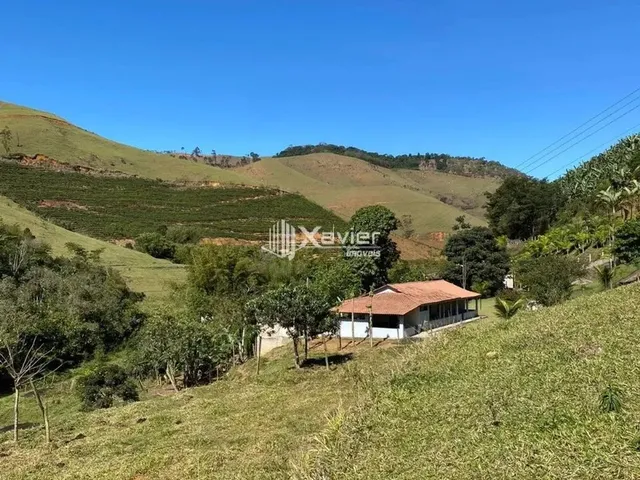 Imagem 11: Chácara com 8.462 M² em Alfredo Chaves/Es - Casa Ampla, Rio, Nascentes, Pomar e Lagoa