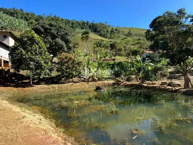 Imagem 9: Chácara com 8.462 M² em Alfredo Chaves/Es - Casa Ampla, Rio, Nascentes, Pomar e Lagoa
