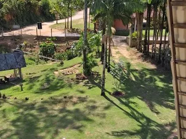 Imagem 8: Chácara em Matilde - Alfredo Chaves, Es