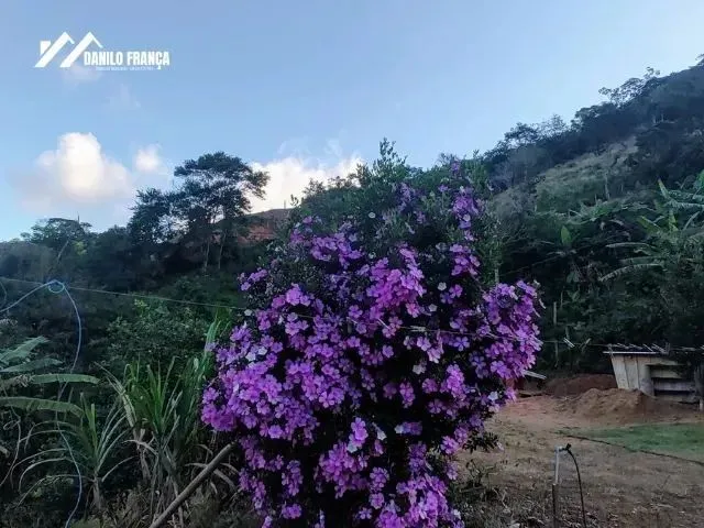 Imagem 4: Vende-Se Chácara em Buenos Aires, Guarapari/Es