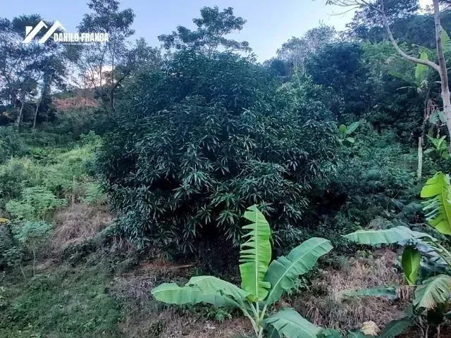 Imagem 9: Vende-Se Chácara em Buenos Aires, Guarapari/Es
