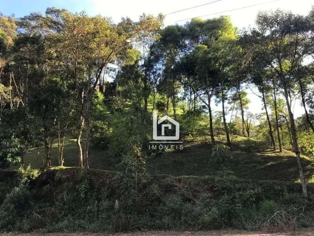 Imagem 12: Excelente Sitio em Alfredo Chaves!!!