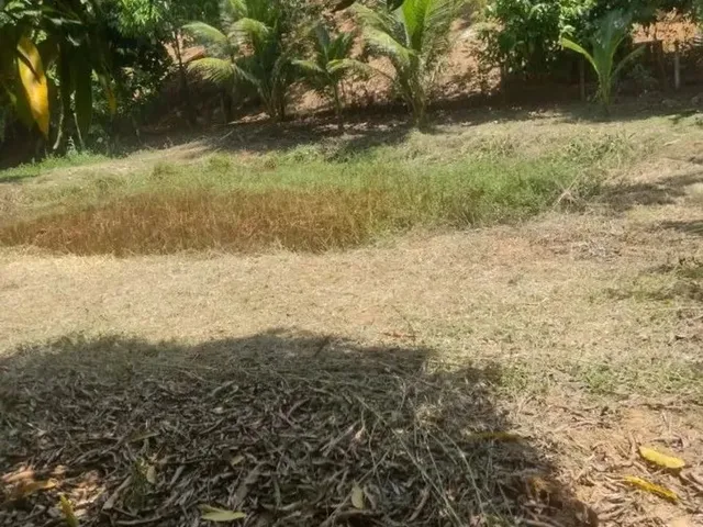 Imagem: Sítio para Venda em Guarapari, Comunidade