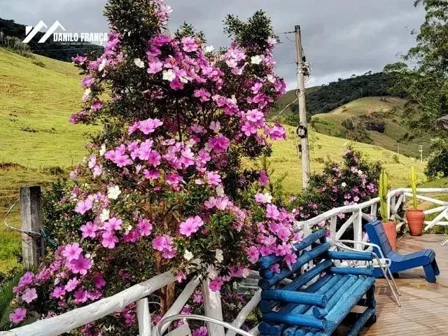 Imagem 8: Vende-Se Excelente Chácara em Matilde - Alfredo Chaves