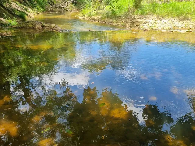 Imagem: Chacara 6.000 Mt com Rio