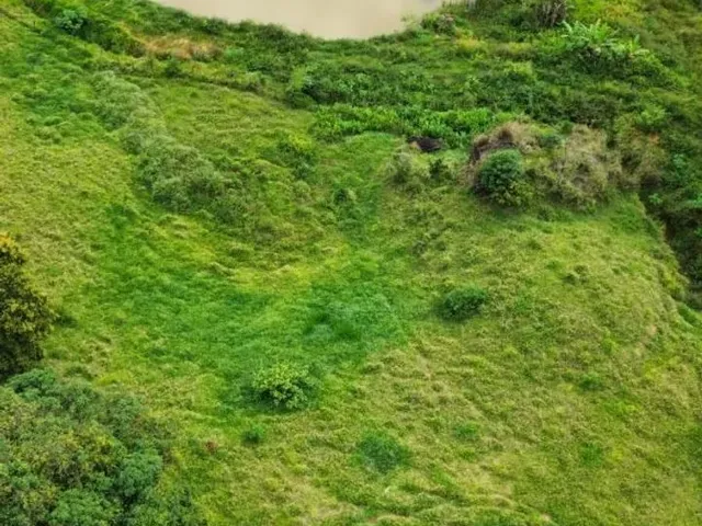 Imagem: Oportunidade em santa Leopoldina Próximo