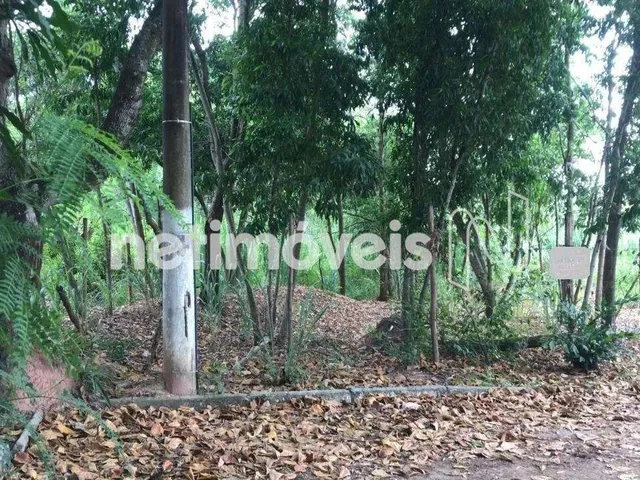Imagem: Venda Lote-Área-Terreno Interlagos Vila