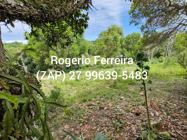 Imagem 4: Chácara Retiro Congo a 100M do Asfalto Troca Imovel- Valor! ? 12.000 M² ? 12.000