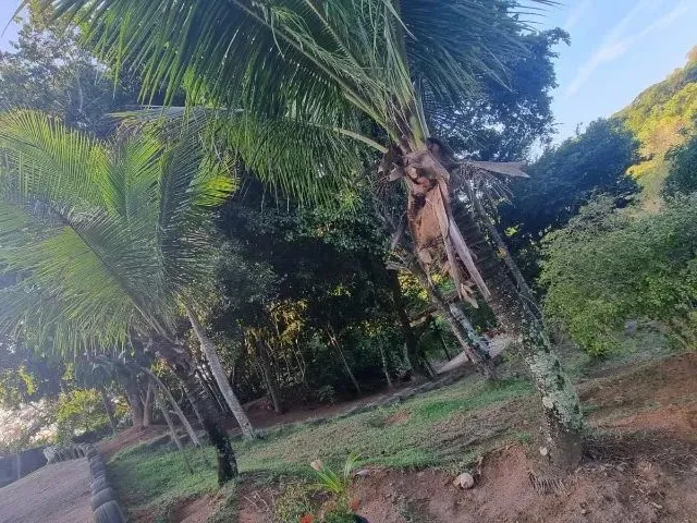 Imagem 4: Chácara Retiro do Congo