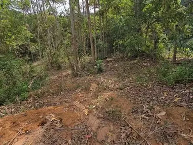 Imagem: Black Chácara, Terra Fria, Domingos Martins