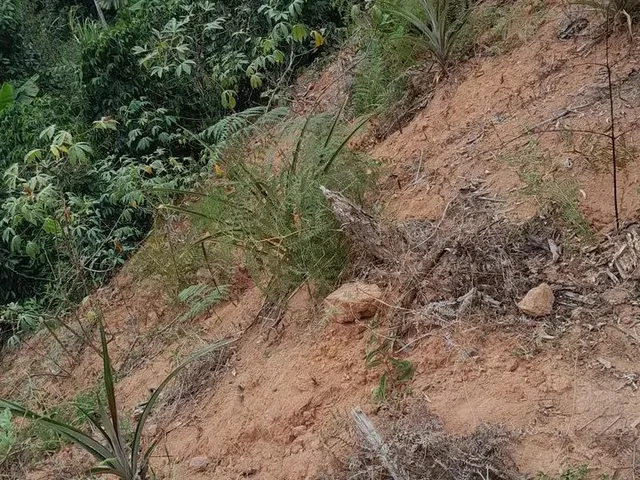 Imagem 1: Vendo Linda Chácara ==Valor 60 Mil