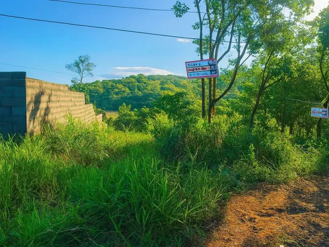 Imagem 14: Lotes Ponta da Fruta &Amp;Amp; Morro da Lagoa, Solar de Vênus- Região em Expansão E