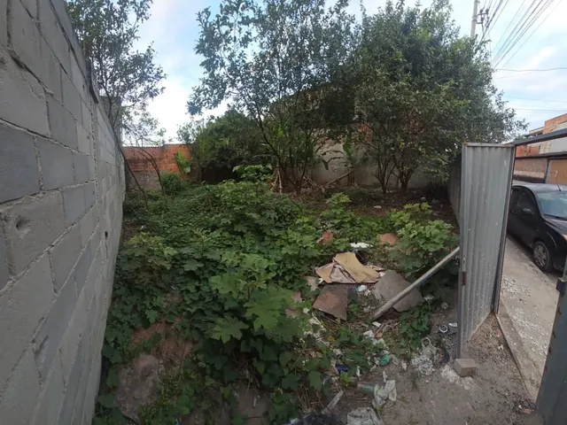 Imagem: Terreno Principal Ulises Guimarães